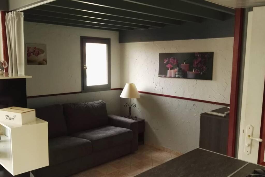 Studio Mezzanine En Residence Avec Piscine Au Village Le Barcares Bagian luar foto